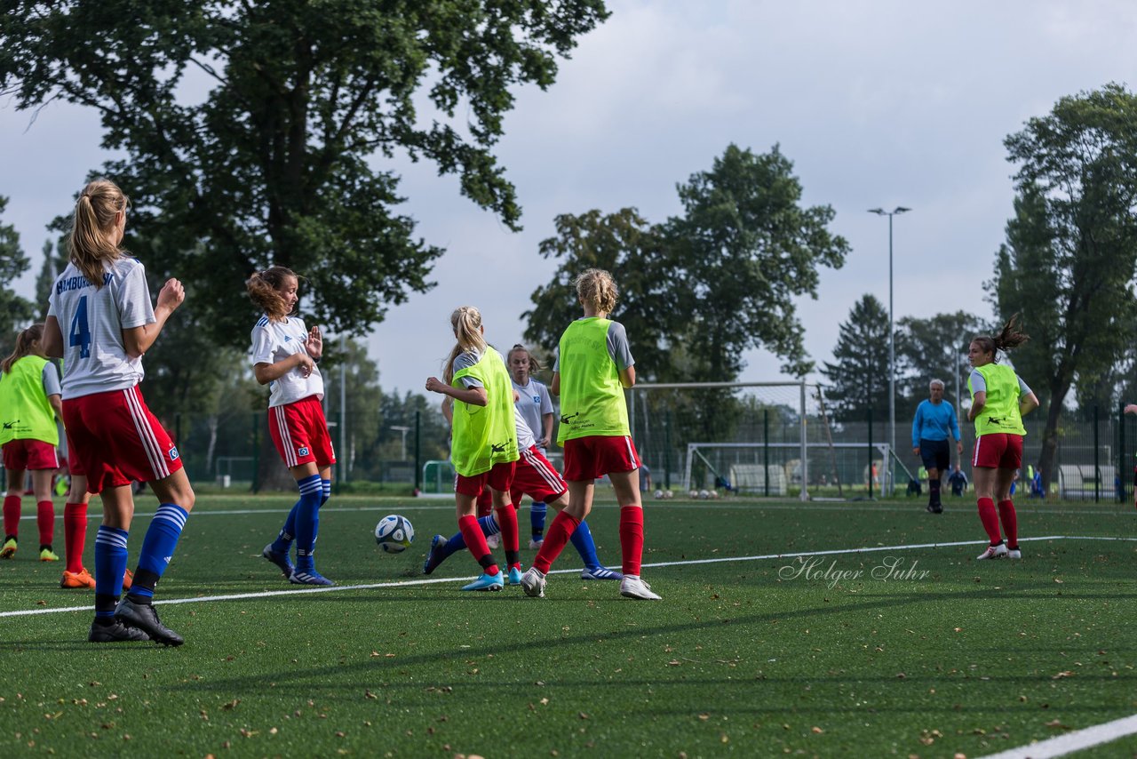 Bild 308 - C-Juniorinnen HSV - Walddoerfer : Ergebnis: 9:1